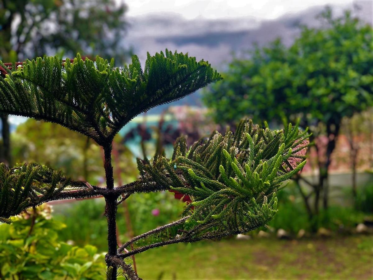 Bed and Breakfast Solan Retreat Esterno foto